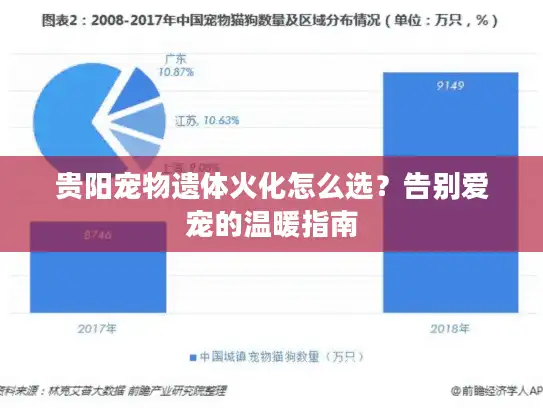贵阳宠物遗体火化怎么选？告别爱宠的温暖指南