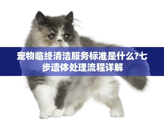 宠物临终清洁服务标准是什么?七步遗体处理流程详解