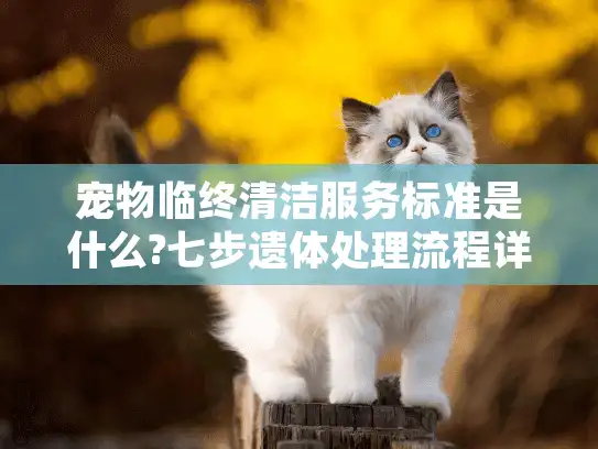 宠物临终清洁服务标准是什么?七步遗体处理流程详解