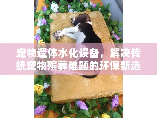 宠物遗体水化设备，解决传统宠物殡葬难题的环保新选择