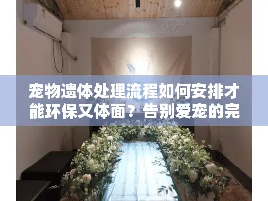宠物遗体处理流程如何安排才能环保又体面？告别爱宠的完整指南