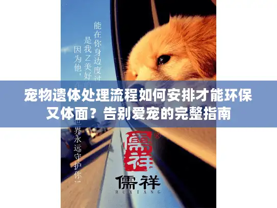 宠物遗体处理流程如何安排才能环保又体面？告别爱宠的完整指南