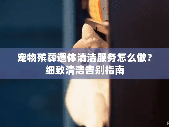 宠物殡葬遗体清洁服务怎么做？细致清洁告别指南