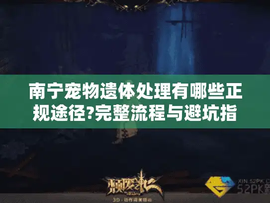 南宁宠物遗体处理有哪些正规途径?完整流程与避坑指南