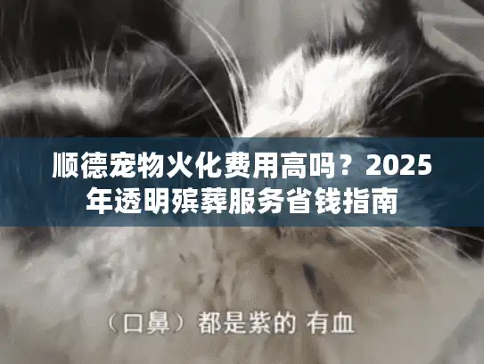 顺德宠物火化费用高吗？2025年透明殡葬服务省钱指南