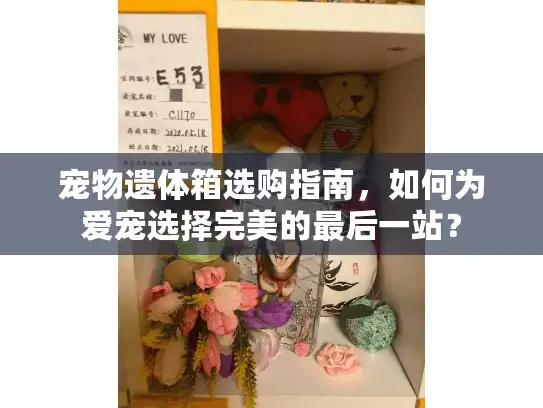 宠物遗体箱选购指南，如何为爱宠选择完美的最后一站？
