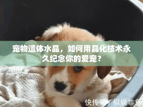 宠物遗体水晶，如何用晶化技术永久纪念你的爱宠？