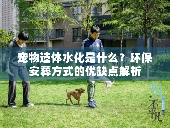 宠物遗体水化是什么？环保安葬方式的优缺点解析