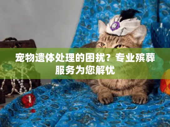 宠物遗体处理的困扰？专业殡葬服务为您解忧