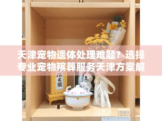 天津宠物遗体处理难题？选择专业宠物殡葬服务天津方案解析