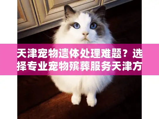 天津宠物遗体处理难题？选择专业宠物殡葬服务天津方案解析