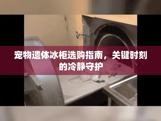 宠物遗体冰柜选购指南，关键时刻的冷静守护