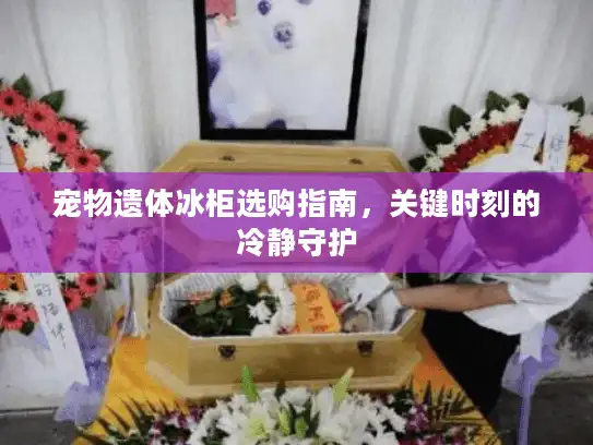 宠物遗体冰柜选购指南，关键时刻的冷静守护