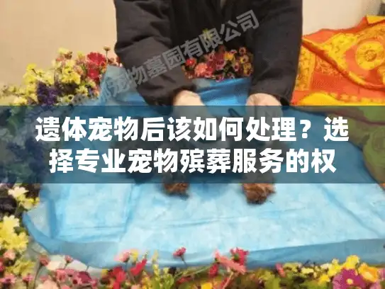 遗体宠物后该如何处理？选择专业宠物殡葬服务的权威指南