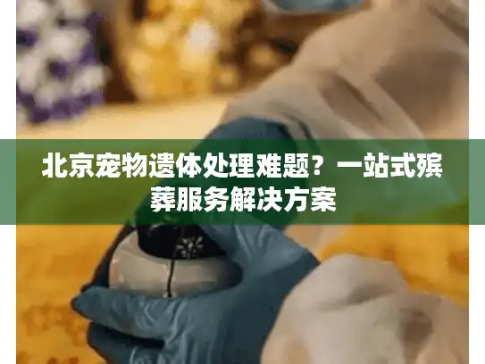 北京宠物遗体处理难题？一站式殡葬服务解决方案