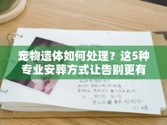 宠物遗体如何处理？这5种专业安葬方式让告别更有温度