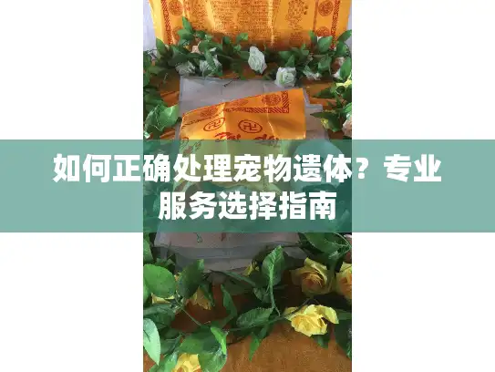 如何正确处理宠物遗体？专业服务选择指南