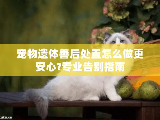 宠物遗体善后处置怎么做更安心?专业告别指南