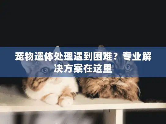 宠物遗体处理遇到困难？专业解决方案在这里