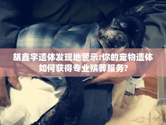胡鑫宇遗体发现地警示:你的宠物遗体如何获得专业殡葬服务?