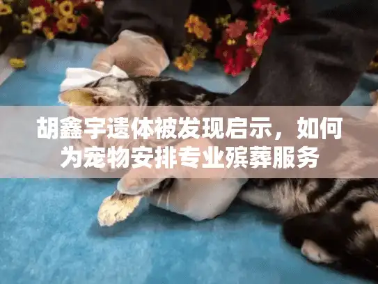 胡鑫宇遗体被发现启示，如何为宠物安排专业殡葬服务