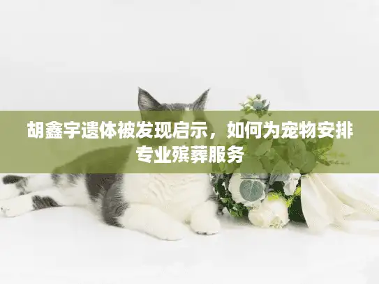 胡鑫宇遗体被发现启示，如何为宠物安排专业殡葬服务