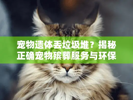 宠物遗体丢垃圾堆？揭秘正确宠物殡葬服务与环保处理方式！