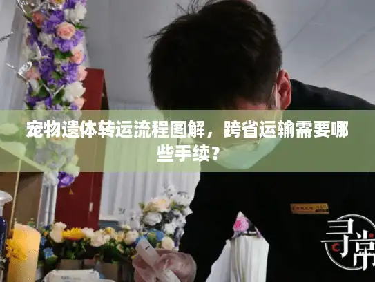 宠物遗体转运流程图解，跨省运输需要哪些手续？