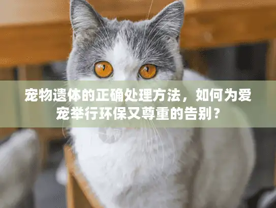 宠物遗体的正确处理方法，如何为爱宠举行环保又尊重的告别？