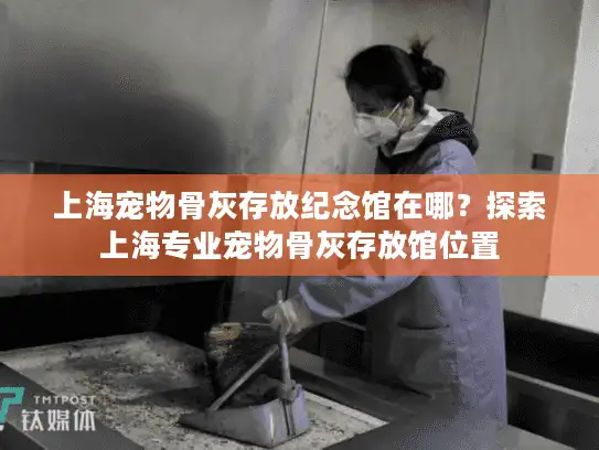 上海宠物骨灰存放纪念馆在哪？探索上海专业宠物骨灰存放馆位置