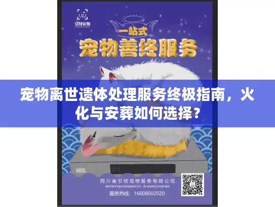 宠物离世遗体处理服务终极指南，火化与安葬如何选择？