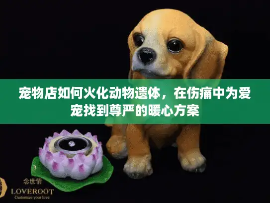 宠物店如何火化动物遗体，在伤痛中为爱宠找到尊严的暖心方案