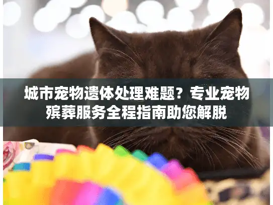 城市宠物遗体处理难题？专业宠物殡葬服务全程指南助您解脱