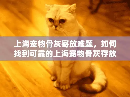 上海宠物骨灰寄放难题，如何找到可靠的上海宠物骨灰存放位置？