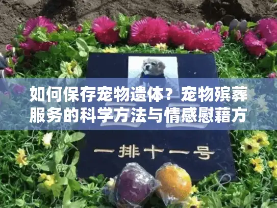 如何保存宠物遗体？宠物殡葬服务的科学方法与情感慰藉方案