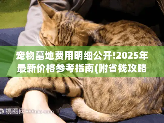 宠物墓地费用明细公开!2025年最新价格参考指南(附省钱攻略)