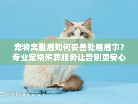 宠物离世后如何妥善处理后事？专业宠物殡葬服务让告别更安心