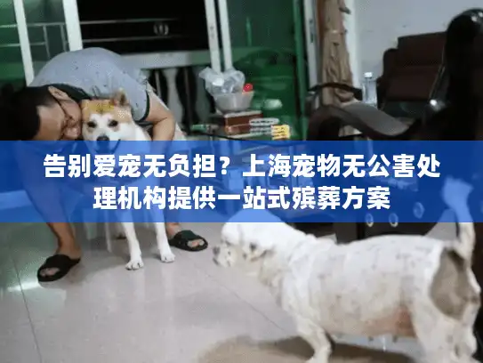 告别爱宠无负担？上海宠物无公害处理机构提供一站式殡葬方案