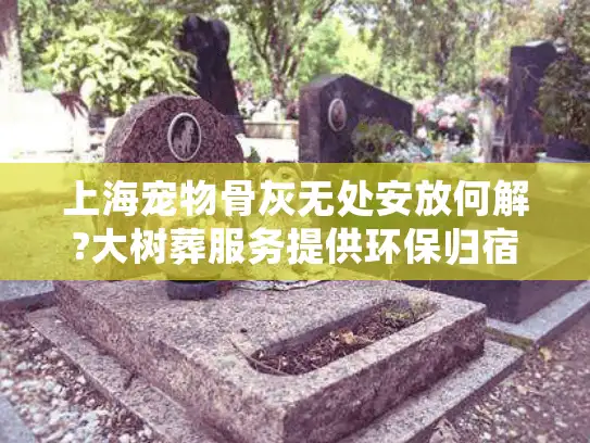 上海宠物骨灰无处安放何解?大树葬服务提供环保归宿