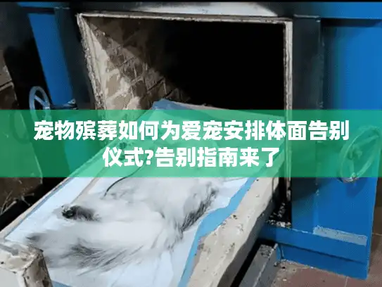 宠物殡葬如何为爱宠安排体面告别仪式?告别指南来了