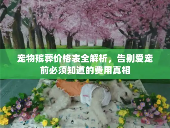 宠物殡葬价格表全解析，告别爱宠前必须知道的费用真相