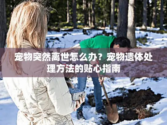 宠物突然离世怎么办？宠物遗体处理方法的贴心指南