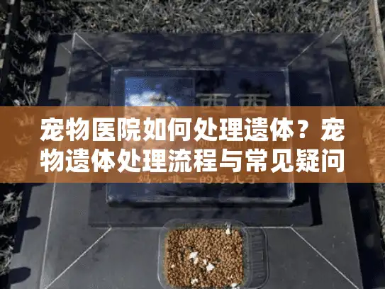 宠物医院如何处理遗体？宠物遗体处理流程与常见疑问指南
