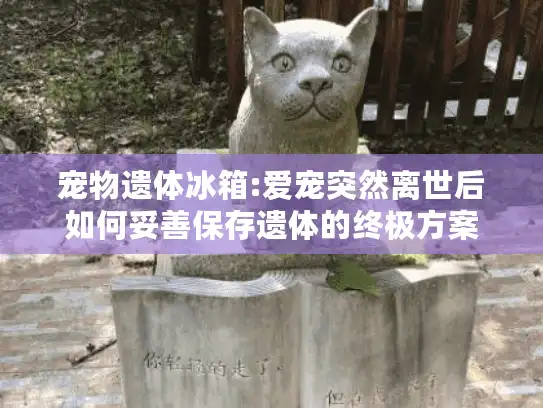 宠物遗体冰箱:爱宠突然离世后如何妥善保存遗体的终极方案