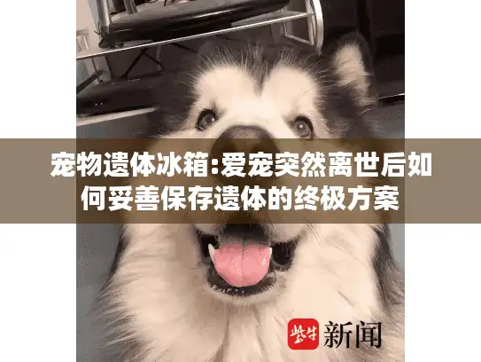 宠物遗体冰箱:爱宠突然离世后如何妥善保存遗体的终极方案