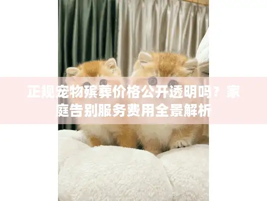 正规宠物殡葬价格公开透明吗？家庭告别服务费用全景解析