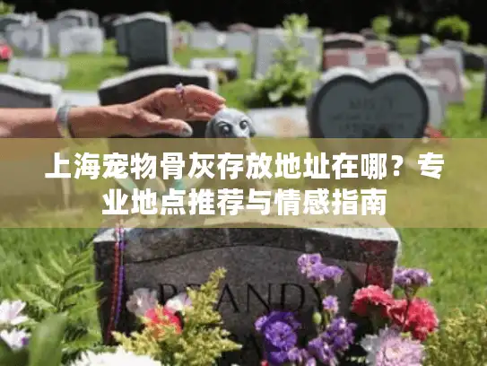 上海宠物骨灰存放地址在哪？专业地点推荐与情感指南