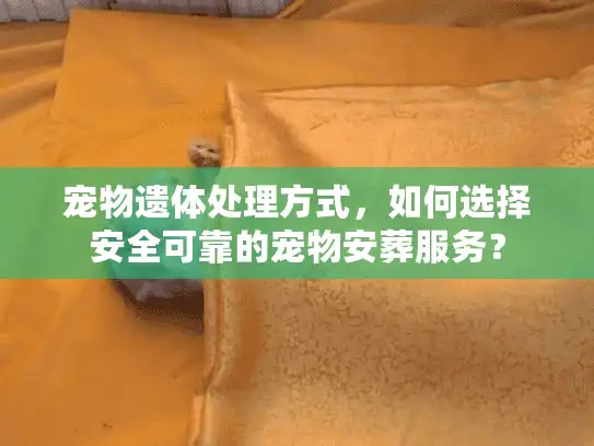 宠物遗体处理方式，如何选择安全可靠的宠物安葬服务？