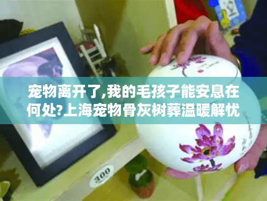 宠物离开了,我的毛孩子能安息在何处?上海宠物骨灰树葬温暖解忧