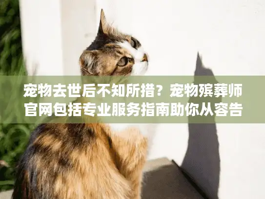 宠物去世后不知所措？宠物殡葬师官网包括专业服务指南助你从容告别